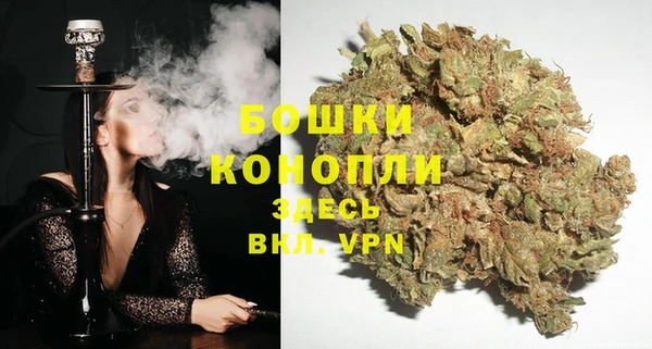 гидра Верея